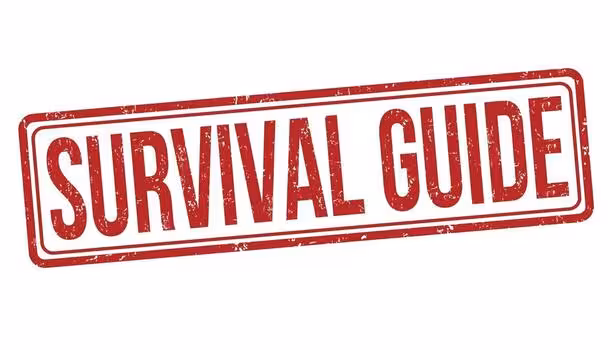 International Break Survival Guide: Safe Options When Leagues Go on Vacation